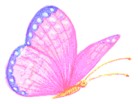 Papillon 4